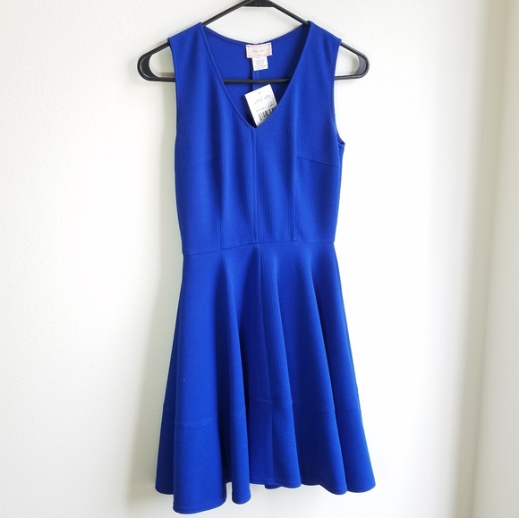 love...ady Dresses & Skirts - NWT Blue Fit & Flare Dress